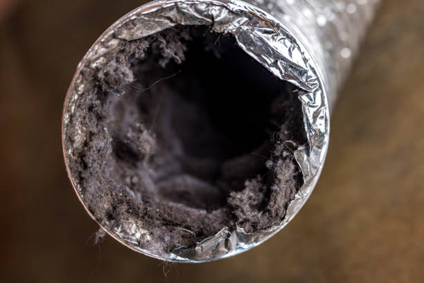 Best HVAC System Cleaning  in Cabana Colony, FL